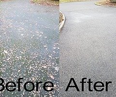 Summer clean up - Image 4/4