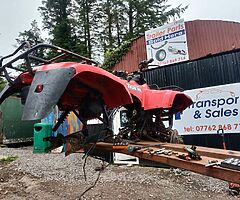 Suzuki Eiger 400 breaking