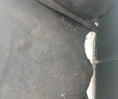Seat córdoba - Image 7/8