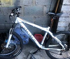 Carrera bike large frame garage find