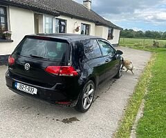 Mk 7 golf van