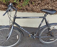 6 speed Raleigh Raven Mountain bike