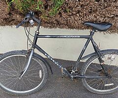 6 speed Raleigh Raven Mountain bike