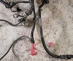 Honda civic eg b16a engine loom - Image 6/8