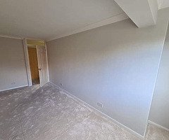 Painter decorator