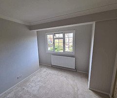 Painter decorator