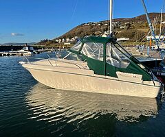 Leader boat - Image 8/8