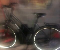 Cube touring excutive model