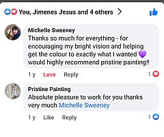 Interior exterior painter