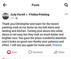 Interior exterior painter - Image 4/5
