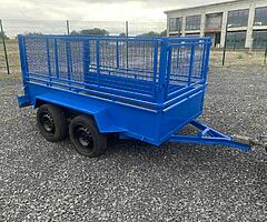 8X4 Builders Trailer With Removable Sides