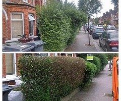 Perfect choice gardens - Image 10/10
