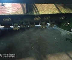 Quad flail topper mower for sale - Image 4/4