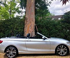 2015 BMW Series 2 - Image 10/10