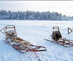Nordic Reindeer Original Rug - Image 4/10