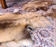 Nordic Reindeer Original Rug - Image 6/10