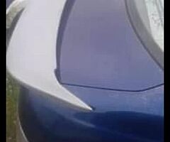 Is200 ducktail