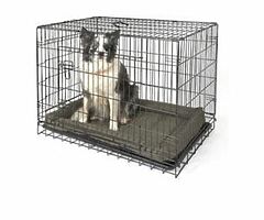 Dog Crate Large €45 - Image 4/4