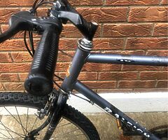 Raleigh bike vintage needs back tube