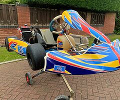 2017 Tony kart Fernando Alonso junior max