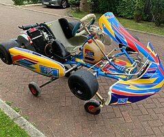 2017 Tony kart Fernando Alonso junior max - Image 4/10
