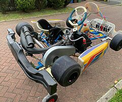 2017 Tony kart Fernando Alonso junior max - Image 6/10