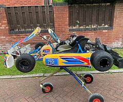 2017 Tony kart Fernando Alonso junior max - Image 9/10