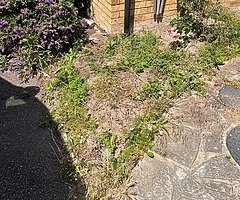 Gardening designing