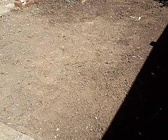 Gardening designing - Image 5/10