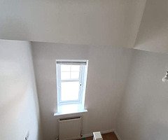 Interior exterior paint available - Image 6/10