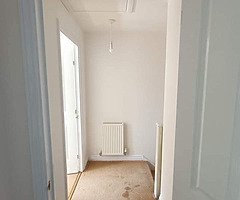 Interior exterior paint available - Image 8/10