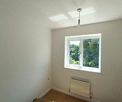 Interior exterior paint available - Image 9/10
