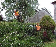 Summer clean up