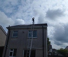 Summer clean up - Image 3/5