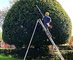 Summer clean up - Image 5/5