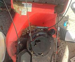 Briggs and Stratton engine push mower