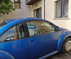 VW Beetle
