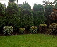 Gardeners