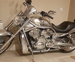 Harley Davidson V Rod