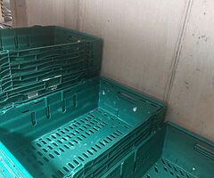 Storage trays