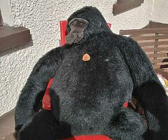 Silver back gorilla. Elegance by dakin 54ins collector's piece 1986. 250euro ono. Excellent conditio - Image 3/3