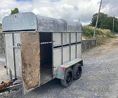 Murphy cattle trailer - Image 5/6