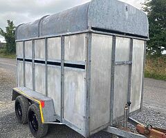 Murphy cattle trailer - Image 6/6