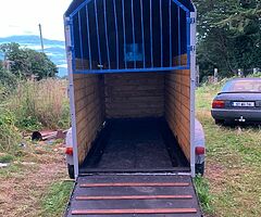 Horse box trailer