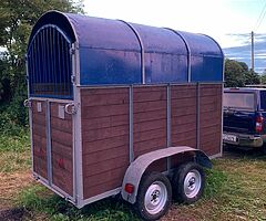 Horse box trailer - Image 4/10