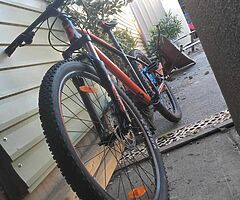 Scott aspect