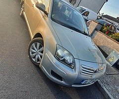 Tyiota avensis - Image 4/6