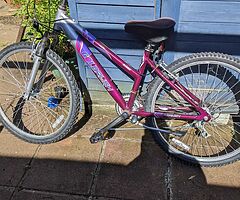 Bicycle