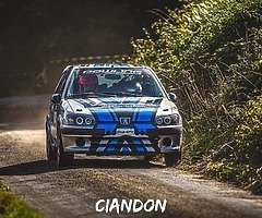 106 gti rallycar - Image 4/5