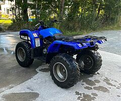 2006 Yamaha  Grizzly - Image 3/4